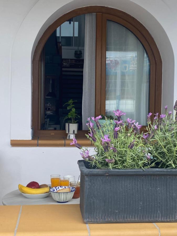 Beachfront House Pythagorion Dış mekan fotoğraf